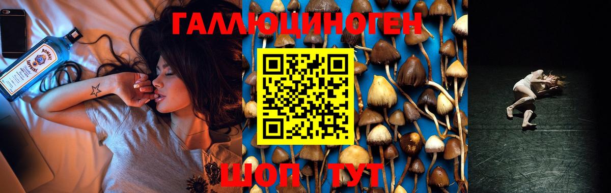 Псилоцибиновые грибы Psilocybine cubensis  где можно купить наркотик  Славянск-на-Кубани  Вход с VPN 